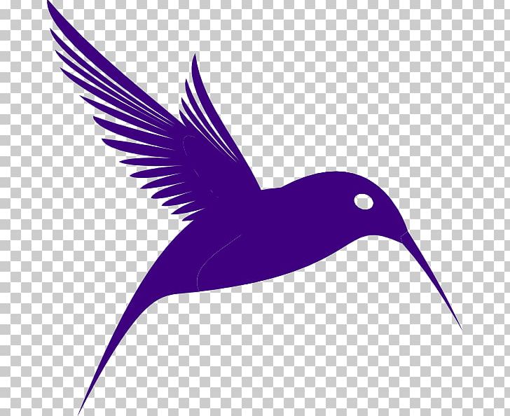 Bird Purple PNG, Clipart, Beak, Bird, Bird Cliparts, Cartoon, Drawing Free PNG Download