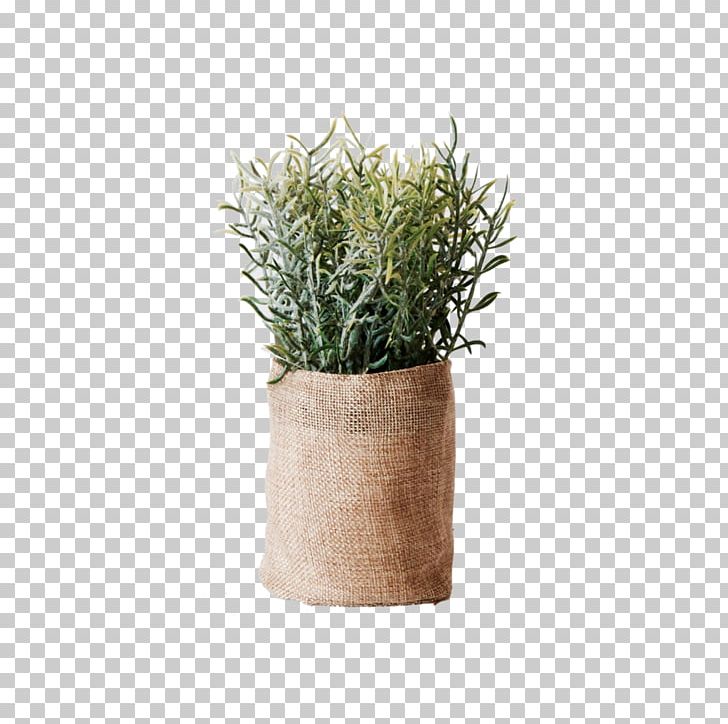 Flowerpot Vase Herb Ceramic Plant PNG, Clipart, Ceramic, Color, Description, Flowerpot, Flowers Free PNG Download