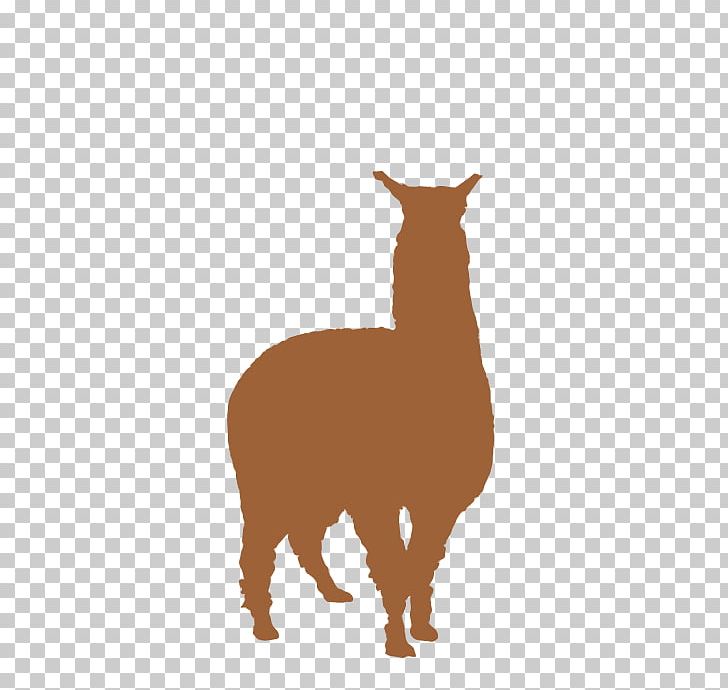 Llama Guanaco Alpaca Silhouette PNG, Clipart, Alpaca, Animals, Camelids, Camel Like Mammal, Computer Icons Free PNG Download