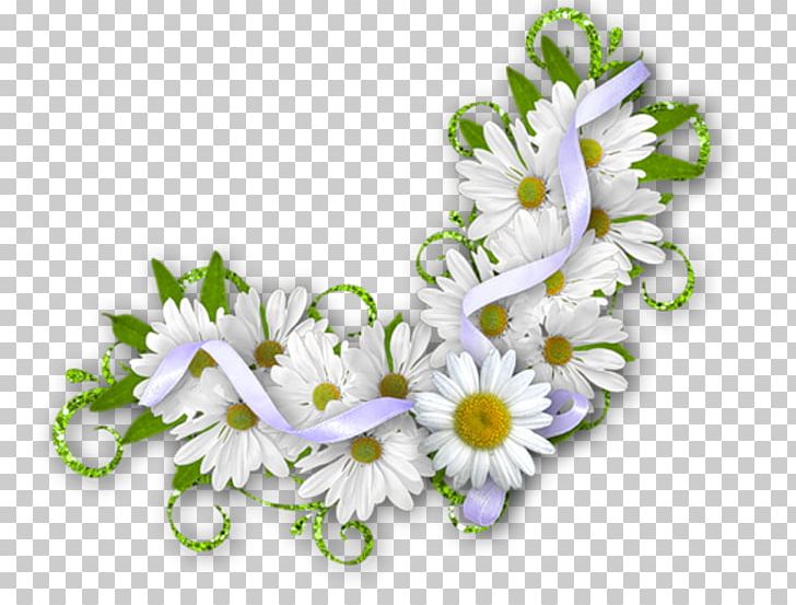 Matricaria Internet PNG, Clipart, Ansichtkaart, Computer, Cut Flowers, Floral Design, Floristry Free PNG Download