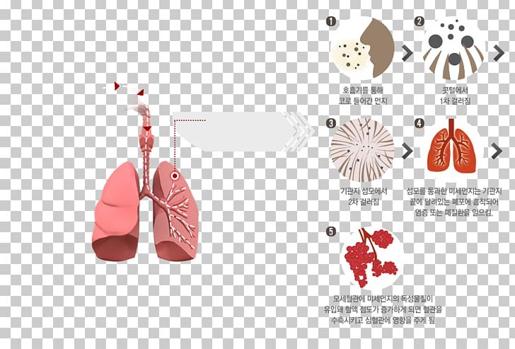 Particulates Asian Dust PM10 PM2 PNG, Clipart, Air, Air Pollution, Asian Dust, Atmosphere, Blood Vessel Free PNG Download