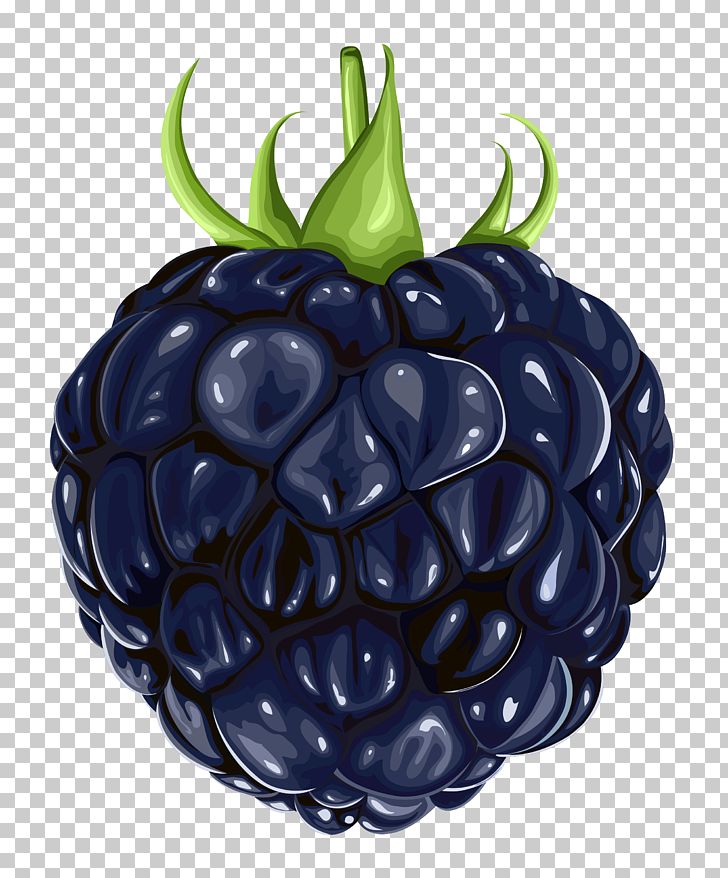 Blackberry Fruit PNG, Clipart, Berry, Blackberry, Clip Art, Clipart, Computer Icons Free PNG Download