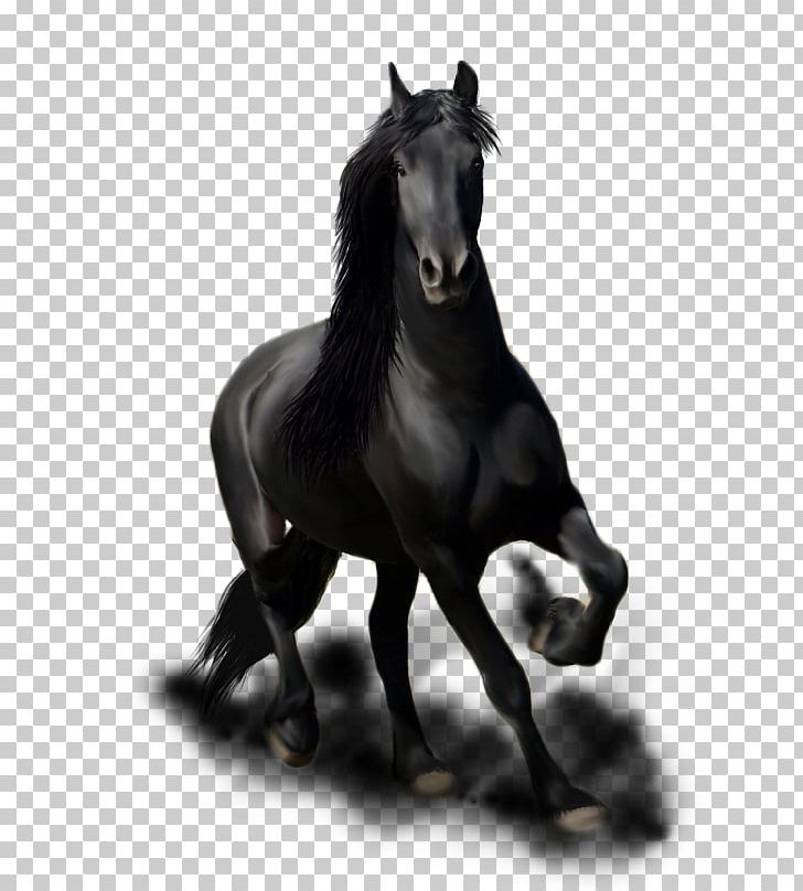 Friesian Horse Stallion Mane Mustang Mare PNG, Clipart, Animal, Art, Black And White, Black Horse, Colt Free PNG Download