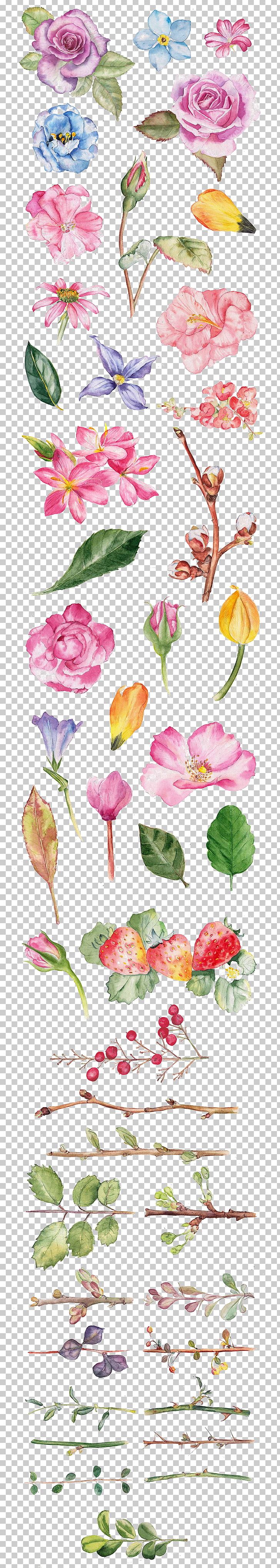 Watercolor Painting Flower Drawing Illustration PNG, Clipart, Cut ...