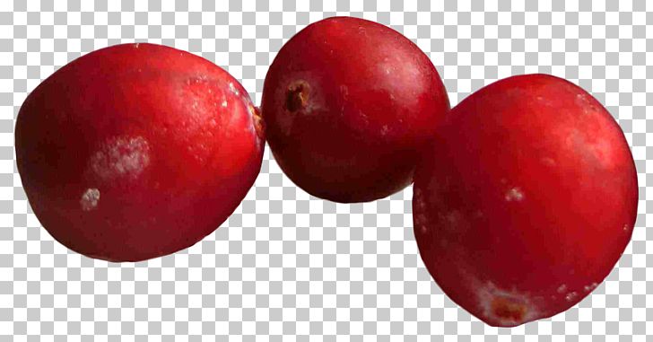 Cranberry Frutti Di Bosco PNG, Clipart, Apple, Berries, Berry, Blueberry, Bosco Free PNG Download