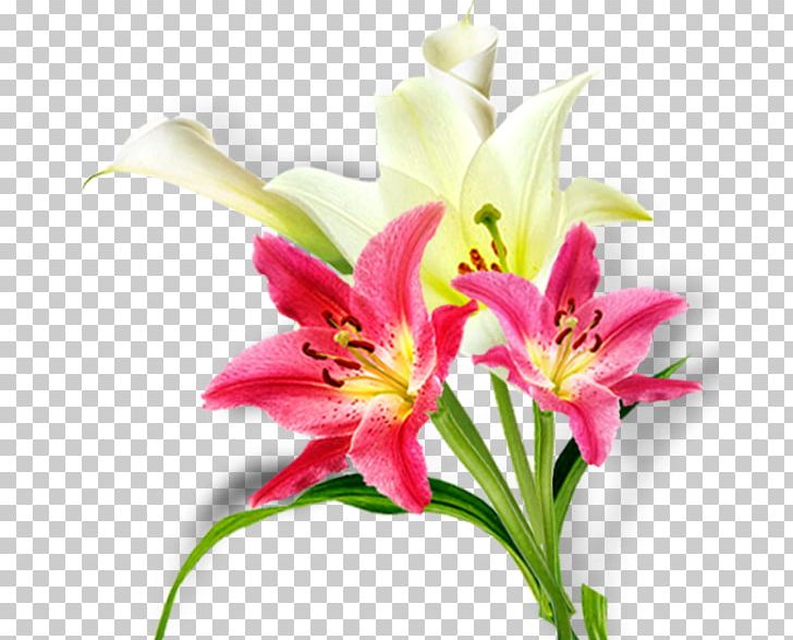 Floral Design Lilium Cut Flowers Flower Bouquet Daylily PNG, Clipart, Bouquet, Cut Flowers, Daylily, Floral Design, Floristry Free PNG Download