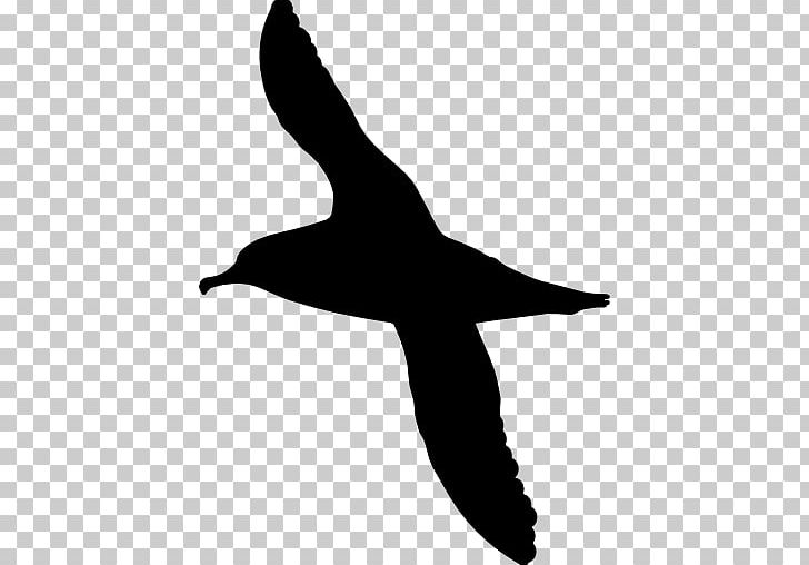 Bird Shy Albatross Computer Icons Chatham Albatross PNG, Clipart, Albatross, Animals, Beak, Bird, Black And White Free PNG Download