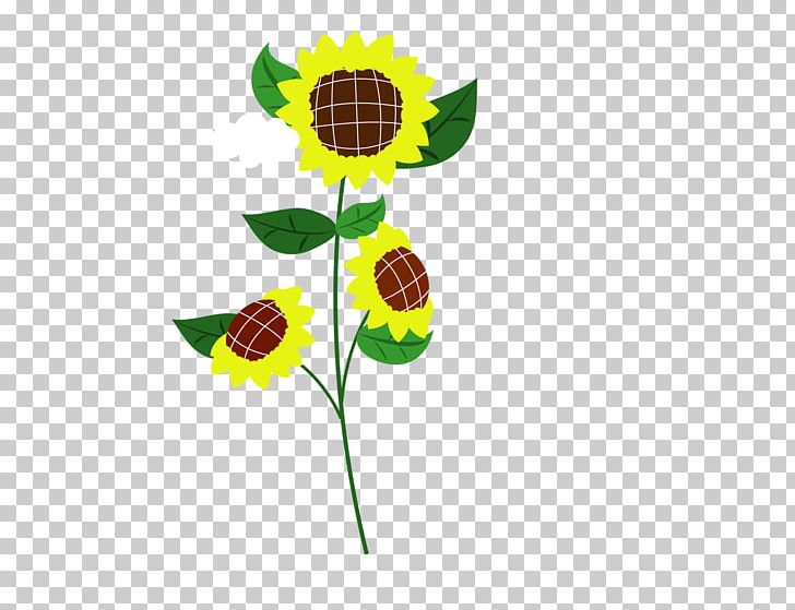 Common Sunflower Child PNG, Clipart, Adobe Illustrator, Cartoon, Child, Encapsulated Postscript, Flower Free PNG Download