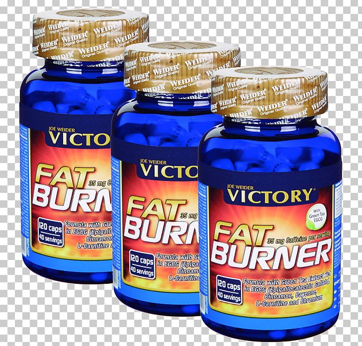 Dietary Supplement Fatburner Weight Loss Thermogenics PNG, Clipart, Abdominal Obesity, Bodybuilding, Brand, Burner, Caps Free PNG Download