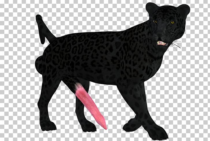 Dog Breed Big Cat Snout PNG, Clipart, Animal, Animal Figure, Animals, Artist, Big Cat Free PNG Download