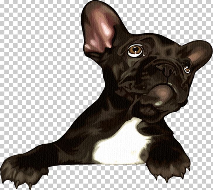French Bulldog Toy Bulldog Puppy Dog Breed PNG, Clipart, Animal, Animals, Breed, Bulldog, Carnivoran Free PNG Download