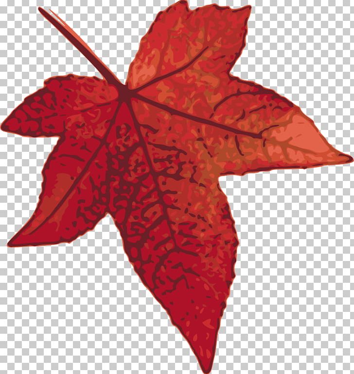 Canada Maple Leaf PNG, Clipart, Autumn Leaf Color, Canada, Clipart, Clip Art, Crab Free PNG Download