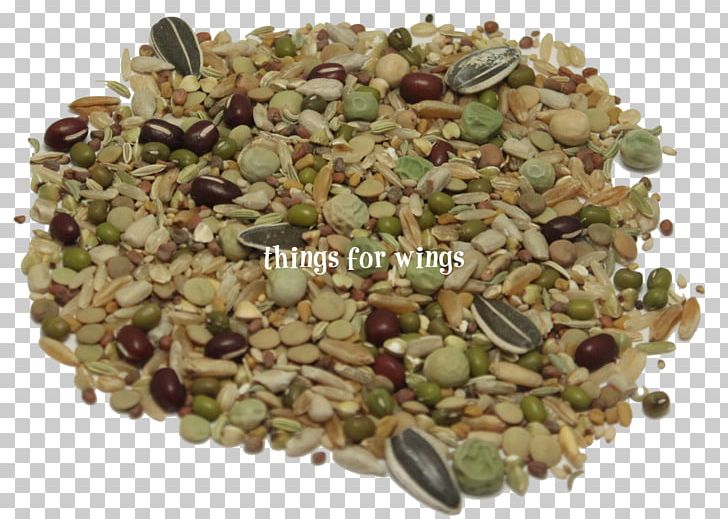 Common Zinnia Seed Wood Sprouting Herbaceous Plant PNG, Clipart, Annual Plant, Biennial Plant, Brown Rice, Commodity, Dish Free PNG Download