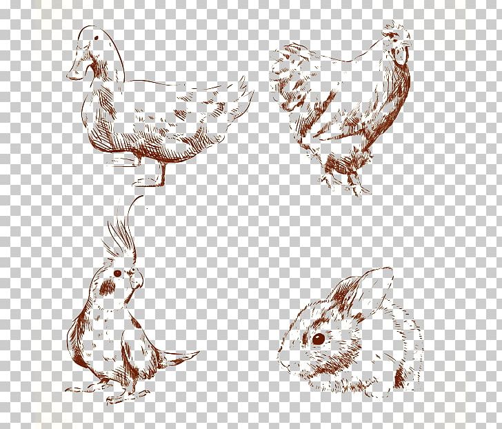 Duck Chicken Drawing Euclidean PNG, Clipart, Animal, Animals, Beak, Bird, Bird Cage Free PNG Download