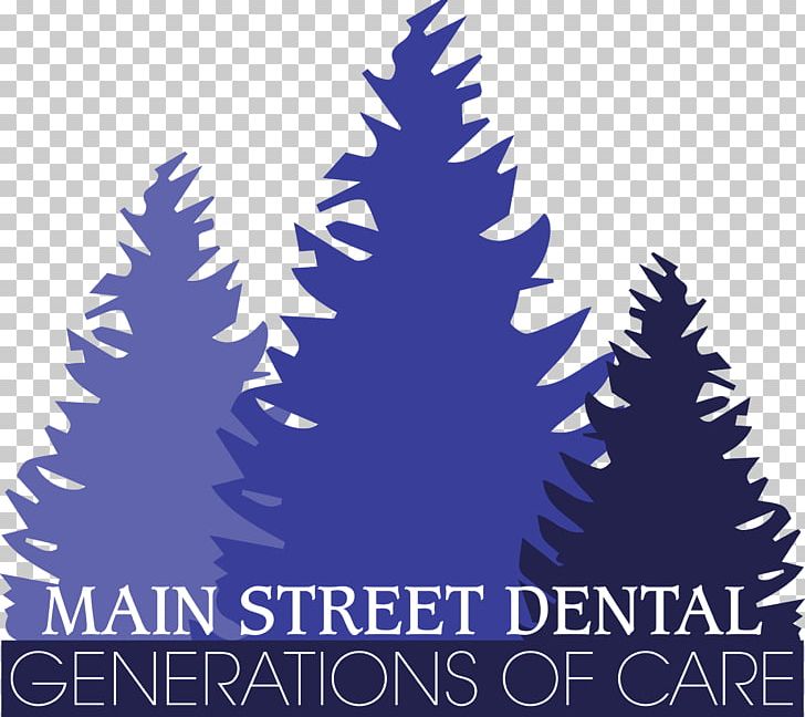 Main Street Dental Forest PNG, Clipart, Blue Spruce, Christmas Decoration, Christmas Tree, Coast Redwood, Conifer Free PNG Download