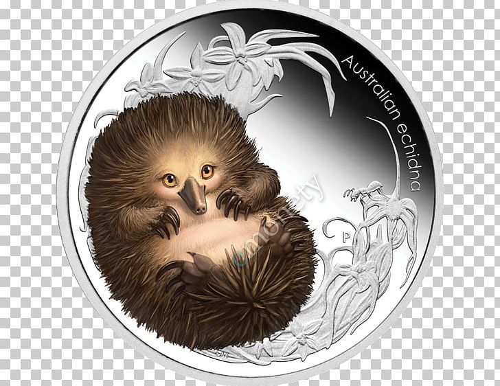 Platypus Anteater Perth Mint Short-beaked Echidna PNG, Clipart, Anteater, Australia, Bush, Bush Baby, Coin Free PNG Download