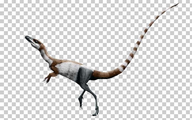 Sinosauropteryx Daspletosaurus Bird Pteranodon Dinosaur PNG, Clipart, Animal Figure, Animals, Apatosaurus, Chasmosaurus, Dinosaur Planet Free PNG Download