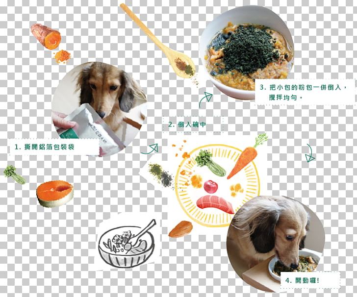 Dog Breed Food 解冻 Turkey Meat PNG, Clipart, Antioxidant, Carbohydrate, Dog, Dog Breed, Dog Like Mammal Free PNG Download