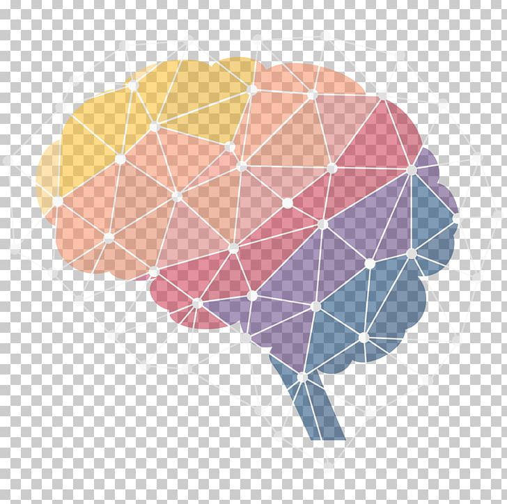 Human Brain Neuroscience Neuroimaging Infographic PNG, Clipart, Behavior, Behavioral Neuroscience, Brain, Cognitive Neuroscience, Endocannabinoid System Free PNG Download