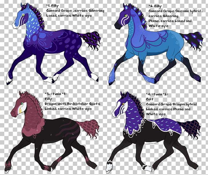 Mustang Stallion Foal Colt Pony PNG, Clipart, Colt, Foal, Halter, Horse, Horse Like Mammal Free PNG Download