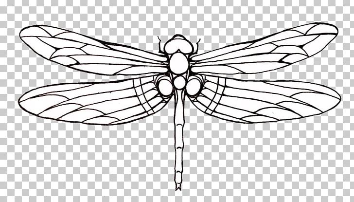 Tattoo Dragonfly Drawing PNG, Clipart, Area, Artwork, Black And White, Brush Footed Butterfly, Butterfly Free PNG Download