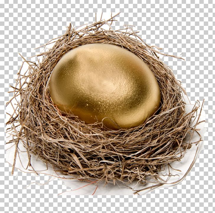 Chicken Easter Egg Nest Stock Photography PNG, Clipart, Bird Egg, Bird Nest, Birds Nest, Chicken, Easter Free PNG Download