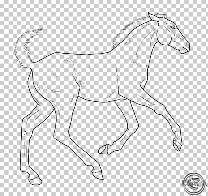 Line Art Foal Pony Colt Bridle PNG, Clipart, Art, Artwork, Black And White, Bridle, Colt Free PNG Download