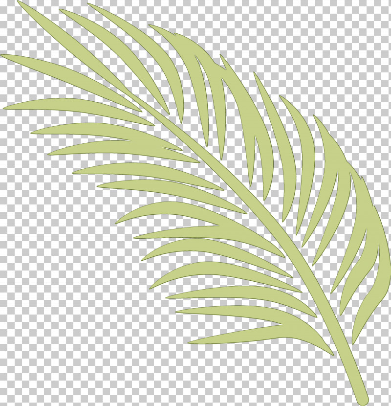 Leaf Plant Tree Flower Monstera Deliciosa PNG, Clipart, Flower, Leaf, Monstera Deliciosa, Paint, Plant Free PNG Download