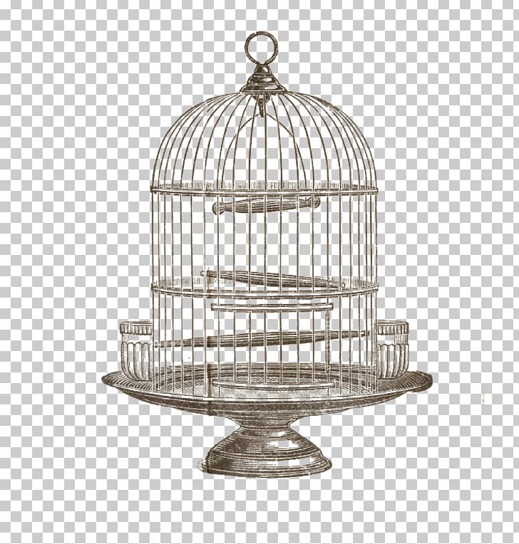 Birdcage Domestic Canary PNG, Clipart, Animals, Art, Bird, Birdcage, Cage Free PNG Download