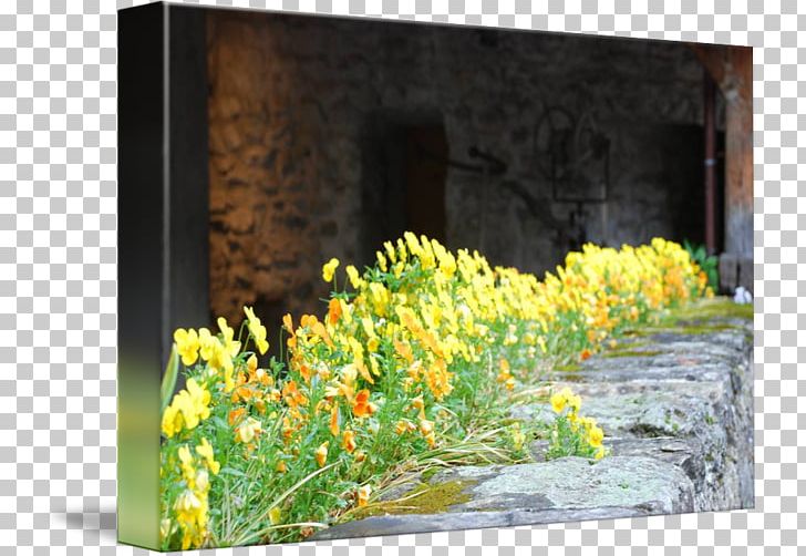 Floral Design Wildflower Shrub PNG, Clipart, Art, Castle Wall, Flora, Floral Design, Flower Free PNG Download