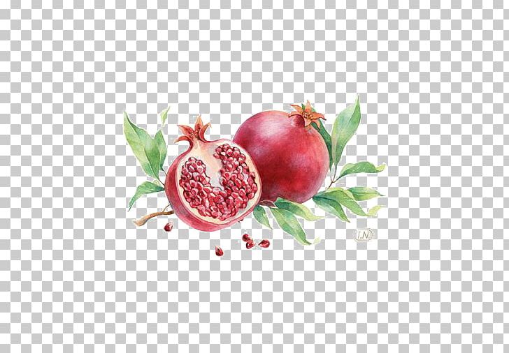 Pomegranate Fruit Red PNG, Clipart, Cherry, Color, Colored Pencil, Deductible, Food Free PNG Download