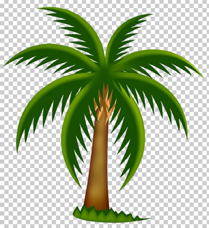 Arecaceae Date Palm Tree PNG, Clipart, Arecaceae, Arecales, Borassus Flabellifer, Clip Art, Coconut Free PNG Download