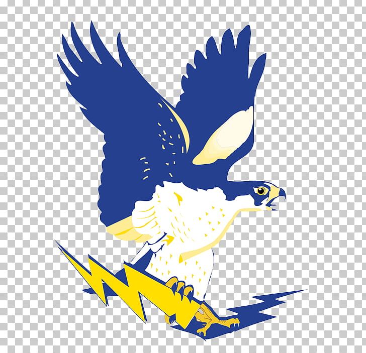 Channelview High School Houston Atlanta Falcons Baytown Alice Johnson Junior High School PNG, Clipart, Artwork, Atlanta Falcons, Bald Eagle, Baytown, Beak Free PNG Download