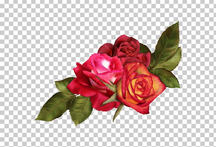 Garden Roses Cut Flowers Floral Design Flower Bouquet PNG, Clipart, Desktop Wallpaper, Digital Image, Drawing, Floral Design, Floribunda Free PNG Download