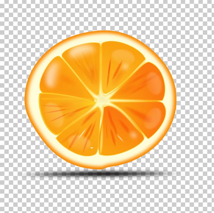 Orange Juice Free Content PNG, Clipart, Blog, Citric Acid, Citrus, Computer Icons, Download Free PNG Download