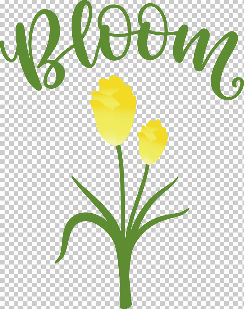 Bloom Spring Flower PNG, Clipart, Bedroom, Bloom, Decal, Floral Design, Flower Free PNG Download