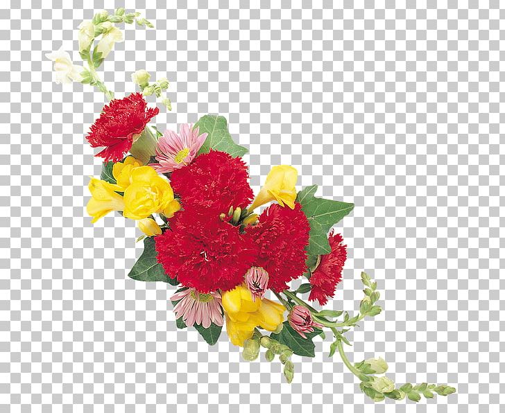 Floral Design Carnation Cut Flowers Rose PNG, Clipart, Annual Plant, Artificial Flower, Birth Flower, Carnation, Cut Flowers Free PNG Download