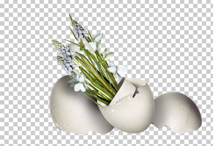 Flower Still Life Photography Vase PNG, Clipart, Alternative Health Services, Beautiful, Easter, Flower, Flowerpot Free PNG Download