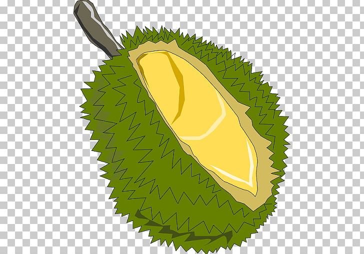 Jackfruit Open PNG, Clipart, Desktop Wallpaper, Durian, Durio Zibethinus, Food, Fruit Free PNG Download