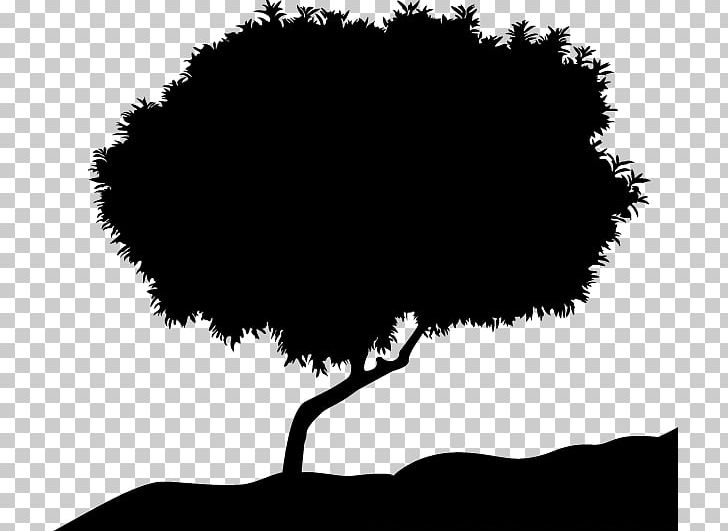 Tree Silhouette PNG, Clipart, Cartoon, Computer Wallpaper, Family Tree, Happy Birthday Vector Images, Monochrome Free PNG Download