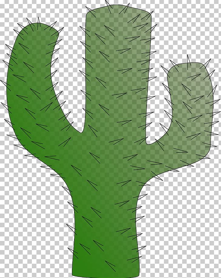 Cactaceae PNG, Clipart, Background Green, Botany, Cactaceae, Cactus, Caryophyllales Free PNG Download