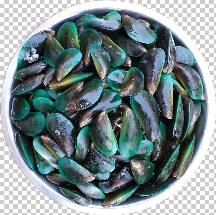 Mussel Clam Vegetarian Cuisine Food La Quinta Inns & Suites PNG, Clipart, Amp, Animal Source Foods, Clam, Clams Oysters Mussels And Scallops, Food Free PNG Download
