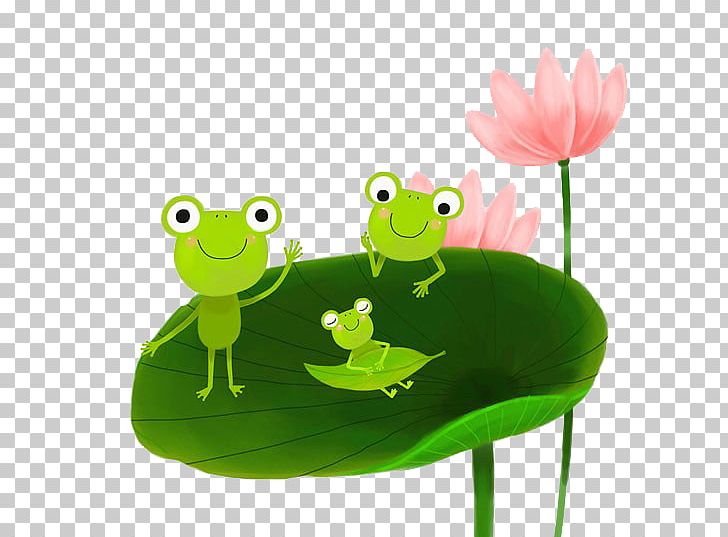 True Frog Tree Frog Illustration PNG, Clipart, Animals, Autumn Leaf, Cartoon, Download, Drawing Free PNG Download