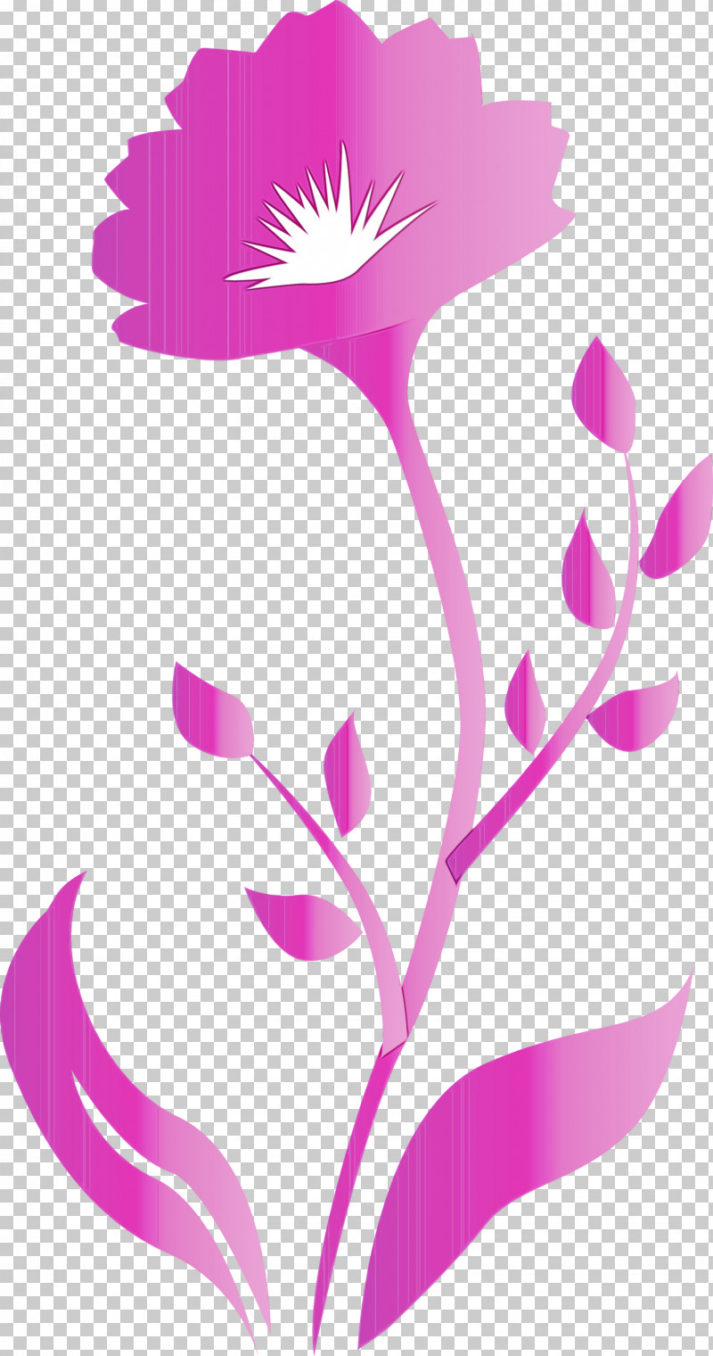 Pink Pedicel Plant Flower Magenta PNG, Clipart, Decor Frame, Flower, Magenta, Paint, Pedicel Free PNG Download
