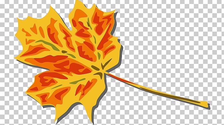 Autumn Leaf Color PNG, Clipart, Autumn, Autumn Leaf Color, Desktop Wallpaper, Download, Flora Free PNG Download