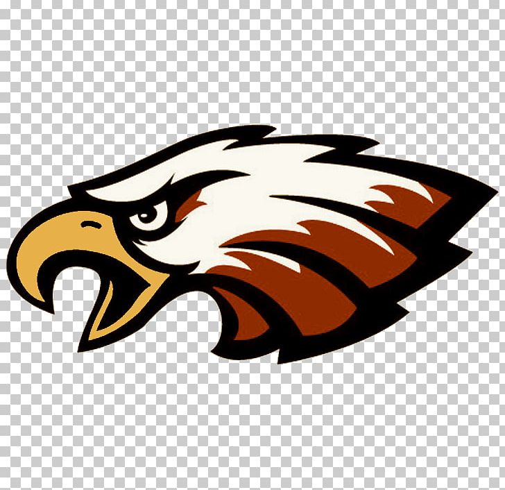 Joplin High School National Secondary School Philadelphia Eagles PNG, Clipart, Artwork, Bald Eagle, Beak, Bird, Bird Of Prey Free PNG Download