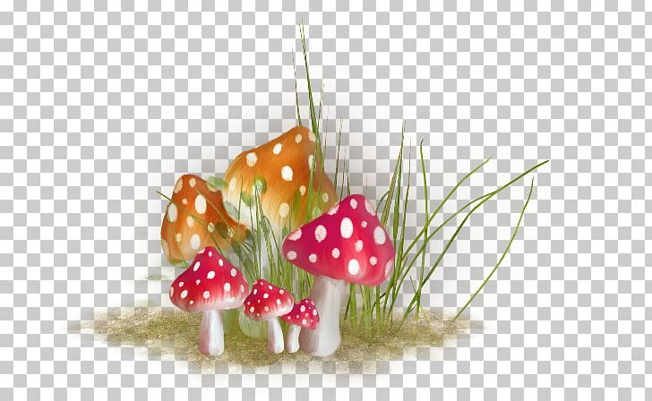 Mushroom Idea PNG, Clipart, Champignon, Christmas Ornament, Download, Drawing, Fruit Free PNG Download