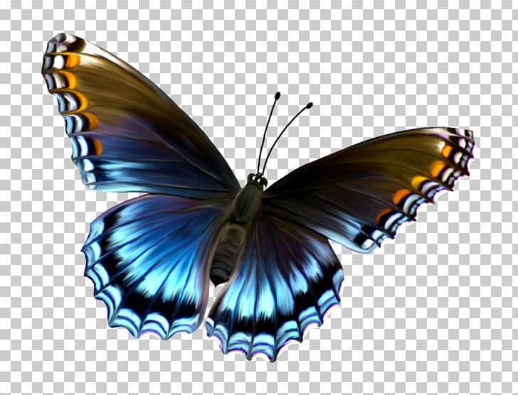 Butterfly PNG, Clipart, Arthropod, Blue, Brush Footed Butterfly, Butterflies, Butterfly Group Free PNG Download