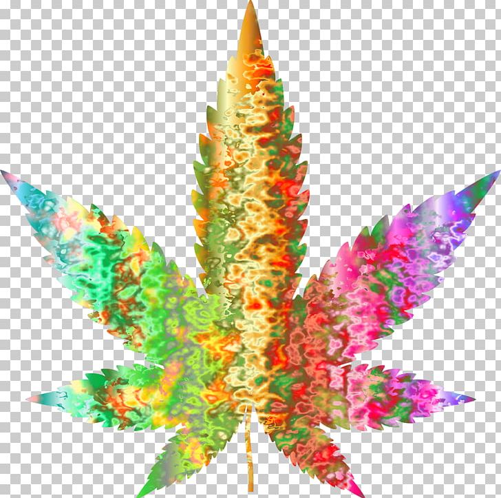 Cannabis Psychedelic Drug Leaf Lysergic Acid Diethylamide PNG, Clipart, 420 Day, Cannabis, Cannabis Sativa, Christmas Ornament, Clip Art Free PNG Download