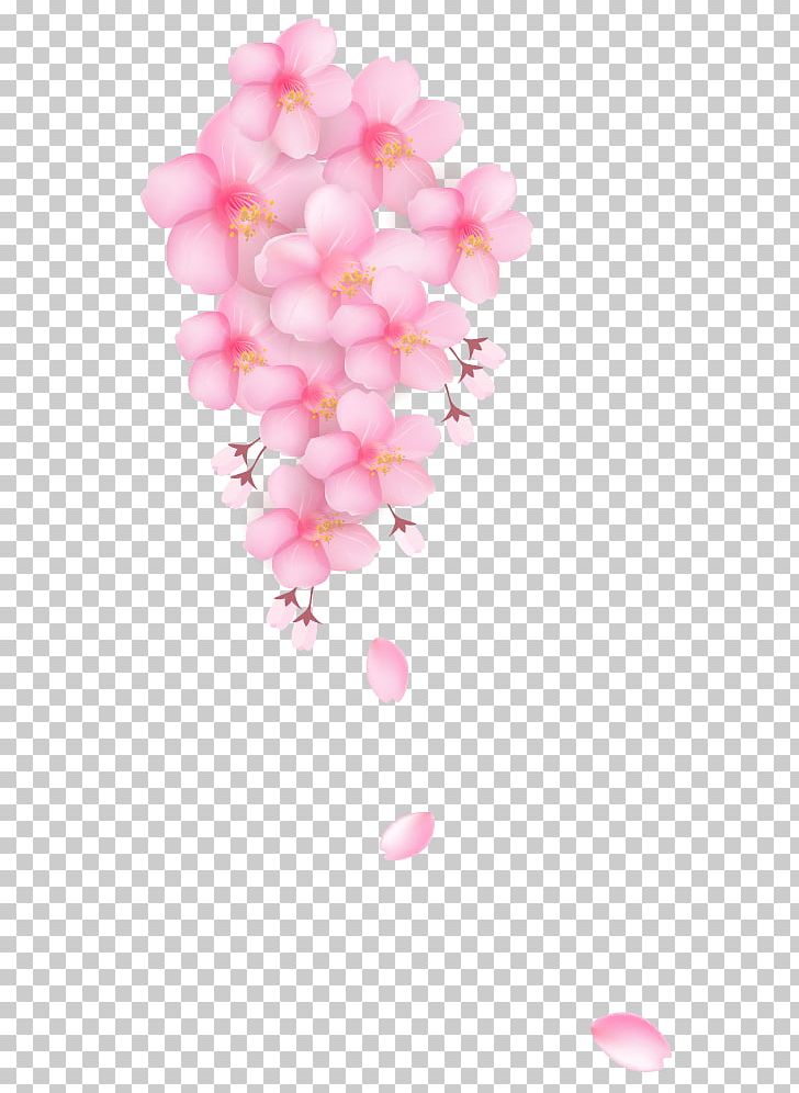 Cherry Blossom PNG, Clipart, Beauty, Beauty Salon, Blo, Cherry, Christmas Decoration Free PNG Download